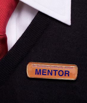 Badges-for-Schools-Mentor