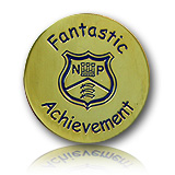 School-Metal Achievement Badge